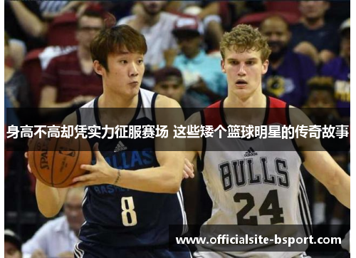 身高不高却凭实力征服赛场 这些矮个篮球明星的传奇故事