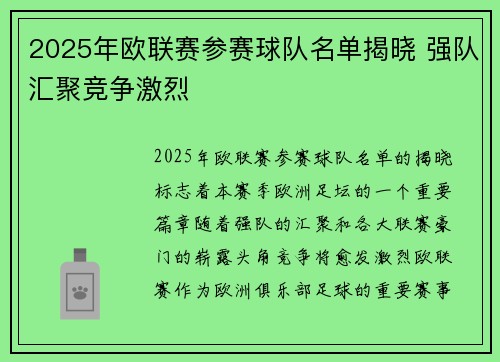 2025年欧联赛参赛球队名单揭晓 强队汇聚竞争激烈